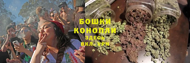 Конопля SATIVA & INDICA  как найти   Белозерск 